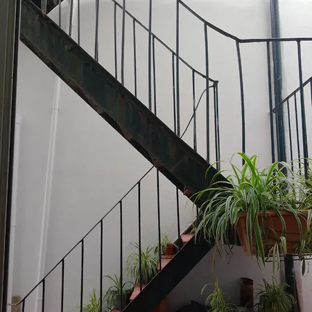 Apartment Tonic Flat